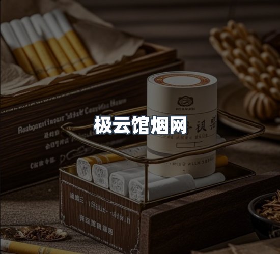 关于极云馆烟网
